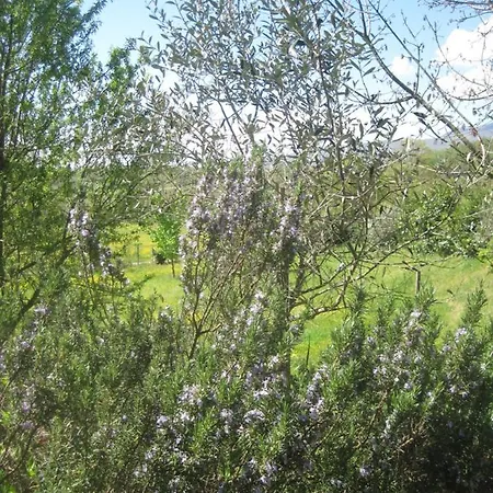 Country House Casalino *